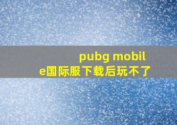 pubg mobile国际服下载后玩不了